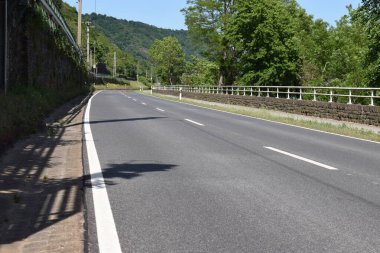 Yazın ormanın ortasında yol ve boş asfalt yol