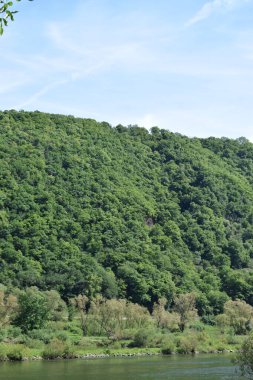 Nehir ve ağaçlarla dolu güzel bir manzara