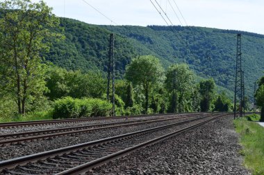 Ormandaki tren rayları, Slovakya