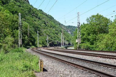 Ormandan geçen demiryolu.