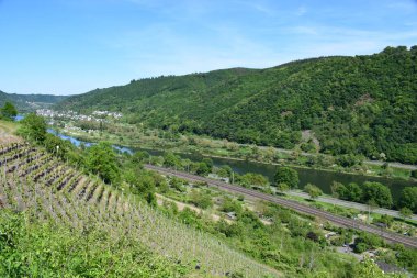 Almanya 'daki Moselle ve Nehir