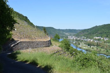 Trier şehrindeki nehrin manzarası