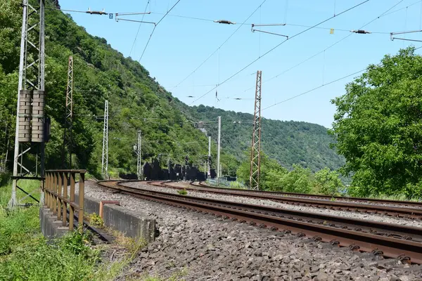 Ormandaki tren istasyonu..