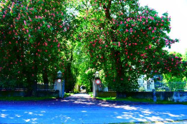 Ruta de tren en chicago