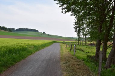 Hollanda 'nın kırsal kesiminde yol