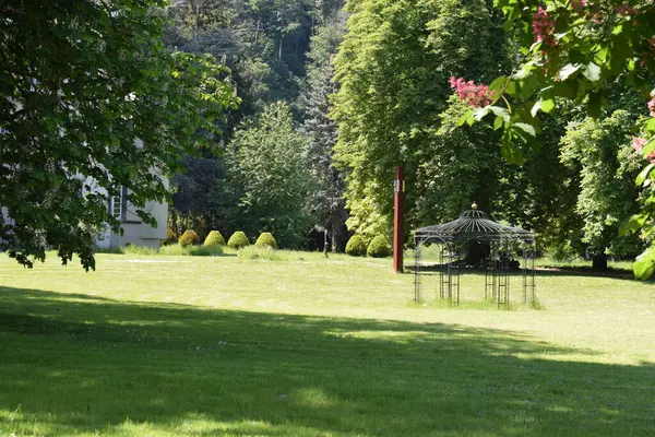 Anderanch yakınlarına park et.