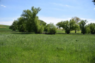 Doğanın güzel manzarası
