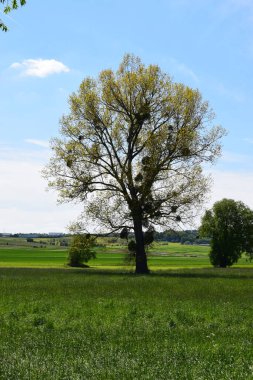 Muhteşem kilise mimarisinin manzarası.