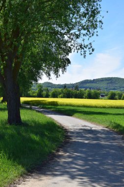 İlkbaharda kırsal kesimde yol