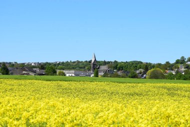 Yeşil tecavüz tarlasına sahip güzel manzara