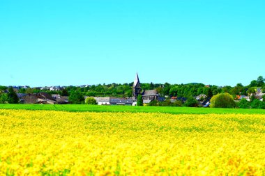 Sarı tarlası ve mavi gökyüzü olan küçük bir köy.