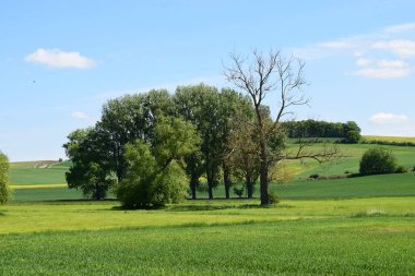 Arkasında yeşil bir alan olan manzara