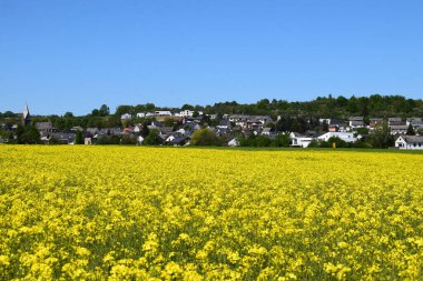 Güzel köy mimarisinin manzarası