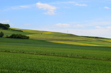 Buğday tarlası ve mavi gökyüzü olan güzel bir manzara.