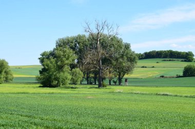 Mavi gökyüzü ile yeşil alan