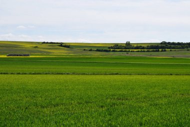 Yeşil ve mavi gökyüzü olan güzel bir manzara.