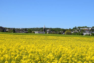 Doğanın güzel manzarası