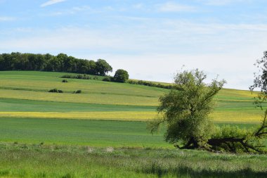 Doğanın güzel manzarası