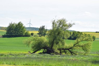 Rüzgar türbinleri tarlada