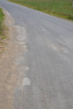 Ormanda yol