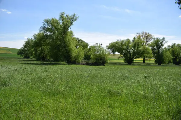 Doğanın güzel manzarası