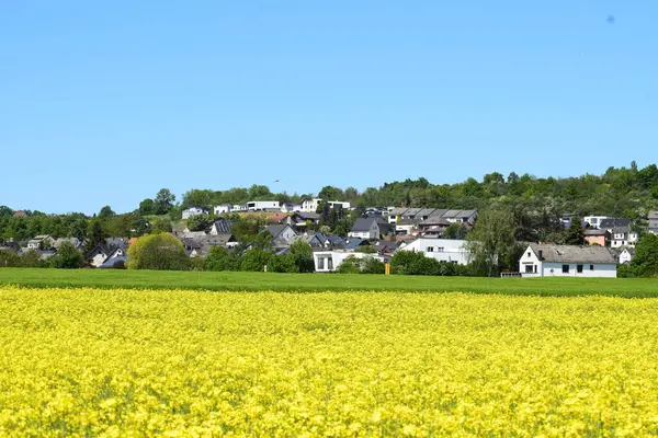 Kırsal manzarası çok güzel.