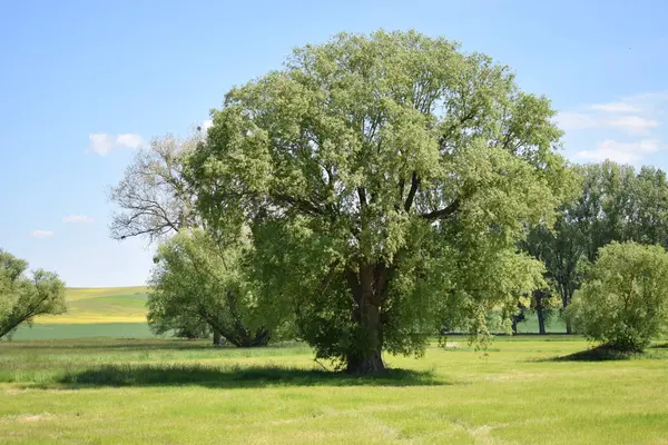 Doğanın güzel manzarası