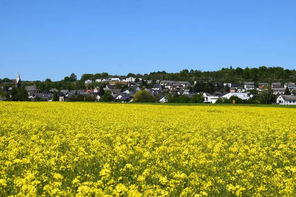 Güzel köy mimarisinin manzarası