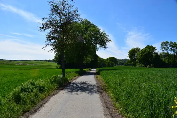 Kırsaldaki yeşil bir arazide köy yolu