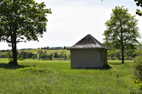 Güneşli bir günde, ormandaki bir çayırdaki ahşap kulübe.