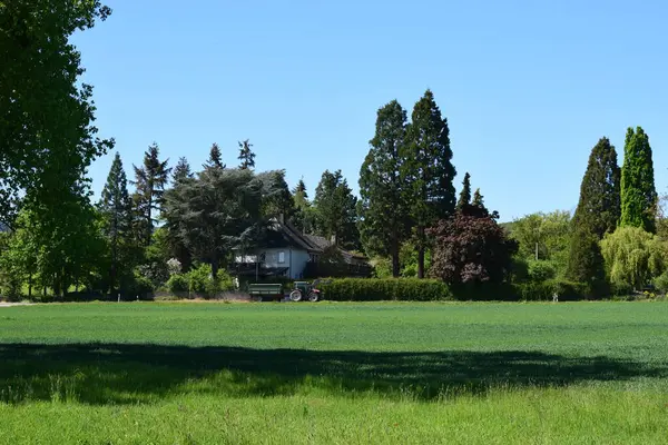 Parktaki güzel manzara.