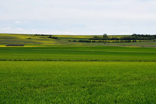 Yeşil ve mavi gökyüzü olan güzel bir manzara.