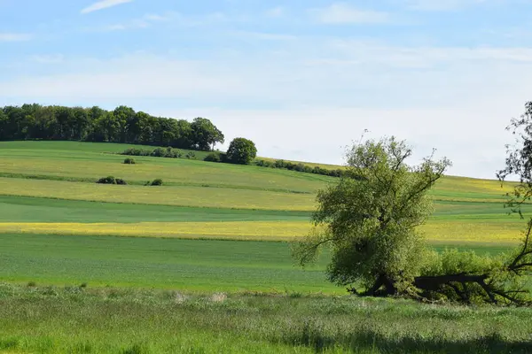 Doğanın güzel manzarası