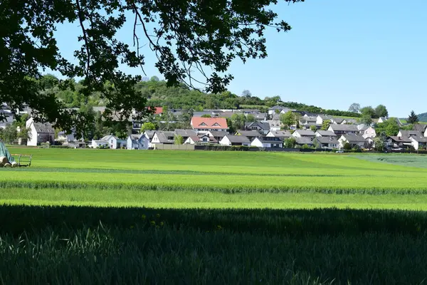 Yazın Almanya 'nın kırsal kesimindeki köy.