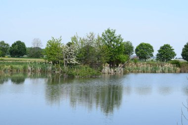 Göleti ve nehri olan güzel bir manzara.