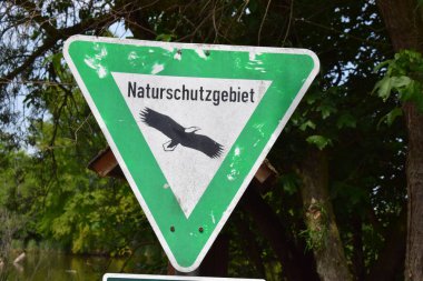 Ağaçta yol işareti var.