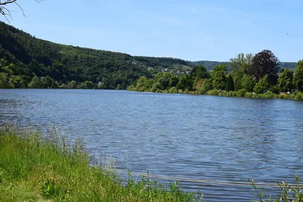 Nehir ve ormanlı güzel bir manzara.