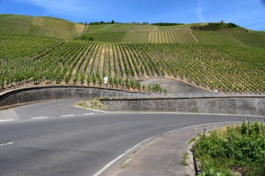 Fransa 'nın Rouillon bölgesindeki üzüm bağları ve üzüm bağları, Lagedoc - Roussillon