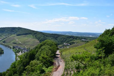 Sabahleyin nehrin rzig köyünün hava manzarası.