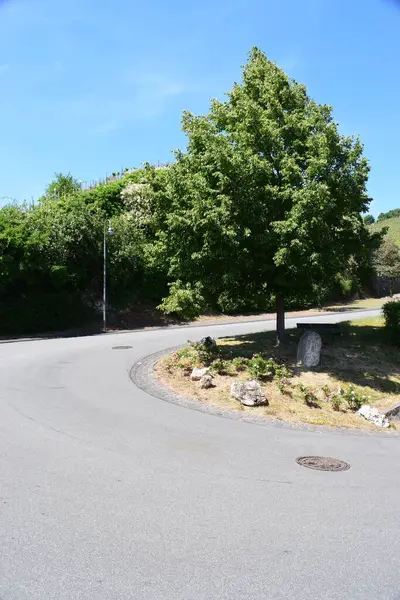 Köyün ormanında yol..