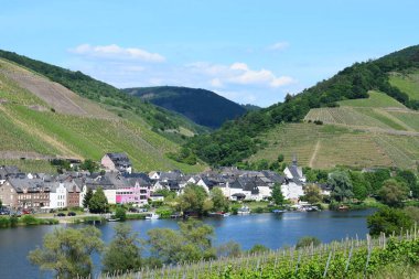 Suyun ötesinden Zell an der Mosel 'e bak