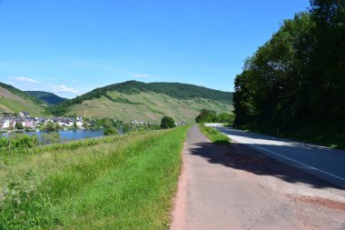 Zell an der Mosel, Almanya 'nın şarap bölgesinde küçük bir kasaba.