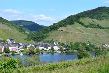 Zell an der Mosel, Almanya 'nın şarap bölgesinde küçük bir kasaba.