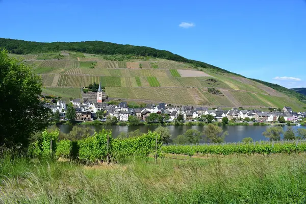 Suyun ötesinden Zell an der Mosel 'e bak
