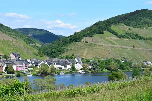 Zell an der Mosel, Almanya 'nın şarap bölgesinde küçük bir kasaba.