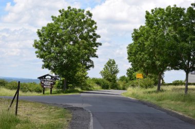 Ormandaki bir yolun dikey çekimi.