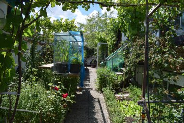 Yaz aylarında Bahçe