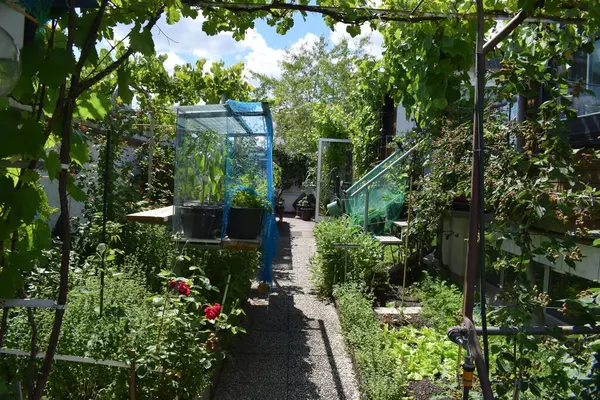 Yaz aylarında Bahçe