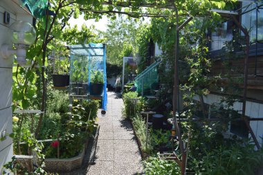 Bahçesinde bitkiler olan evin bahçesine.