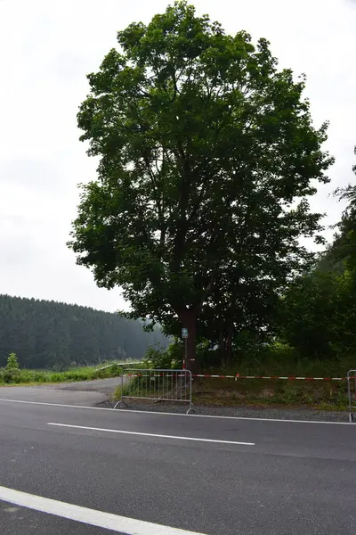 202 numaralı tecrit sırasında Nuerburgring otoparkına giden toprak yol kapalı.